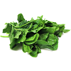 Spinach PNG-79143